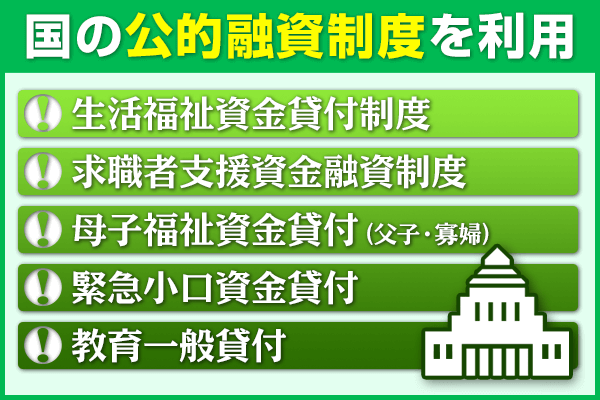 国の公的融資制度を利用