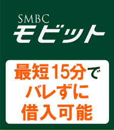 モビットのおすすめポイント