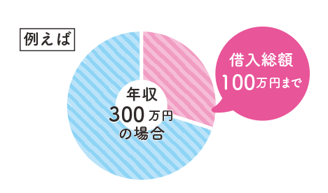 総量規制を説明している円グラフのキャプチャ