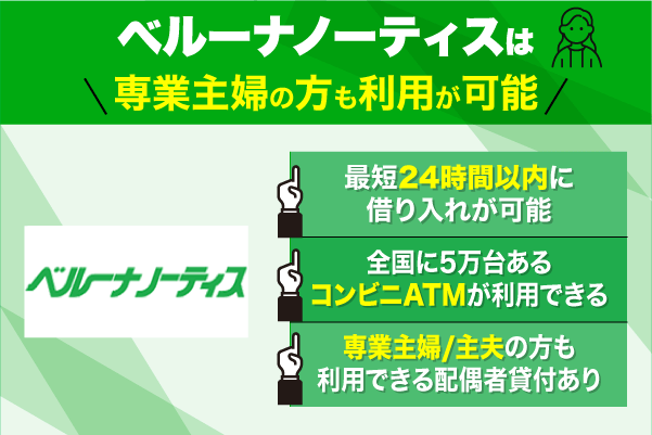 ベルーナノーティスの写真1枚と特徴3点を掲載した特徴図