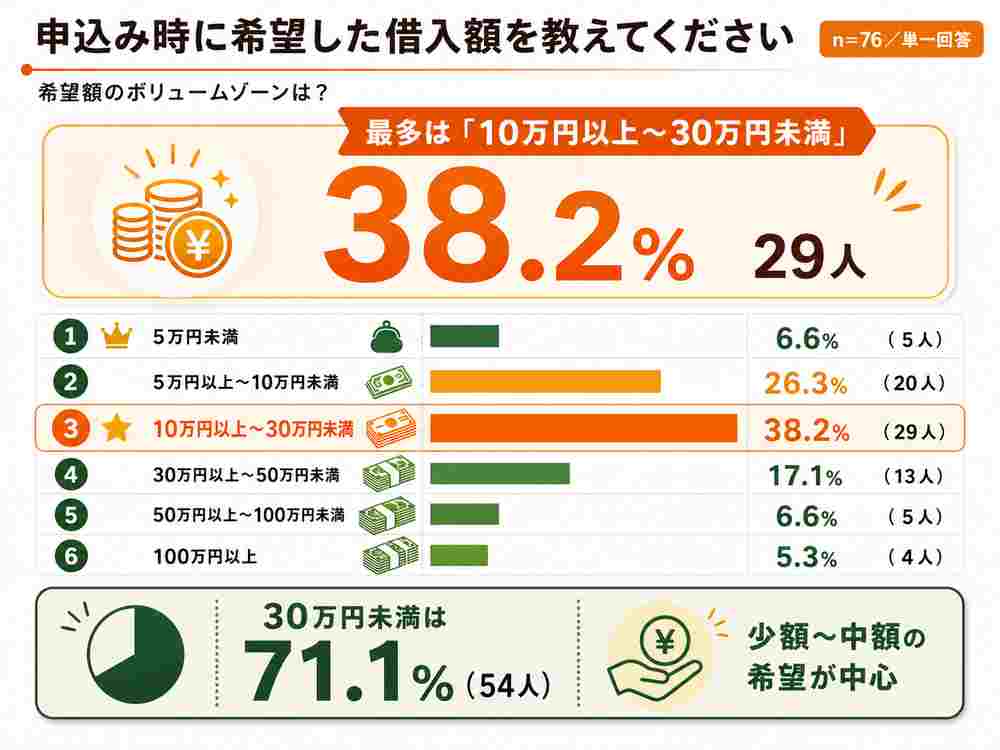 借入額のアンケート結果図解
